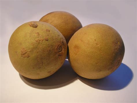 A typical date fruit is a drupe where the outer fleshy part surrounds a shell of hardened endocarp consisting of a seed inside. Gosh! Did you know that apna Chikoo is called as Sapodilla ...