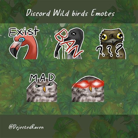 Discord Wild Bird Emote Pack Etsy