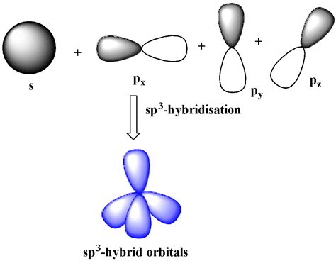 Which hybridization results in nonplanar orbitals A class 11 chemistry CBSE