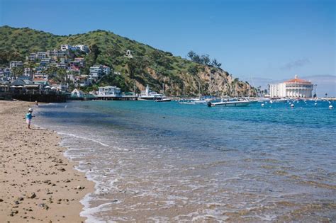 Catalina Island 7 Tips For Your 1st Visit Kirsten Alana