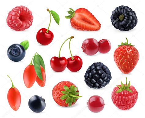 Forest Berry Sweet Fruit 3d Vector Icons Set Realistic Illustration