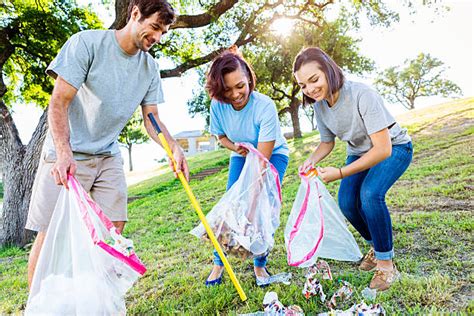 Limpando O Meio Ambiente Banco De Imagens E Fotos De Stock Istock