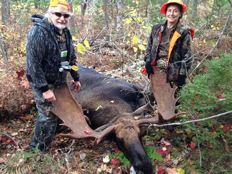 Maine Moose Hunting Blackwater Outfitters Moose Hunting Lodge
