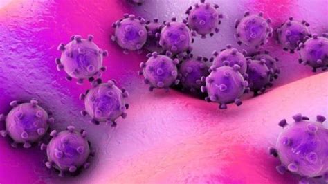 اردو دائرہ معارف اسلامی کرونا وائرس پانچ ایسے وبائی امراض جنہوں نے تاریخ بدلنے میں مدد کی