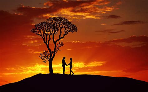 Ταπετσαρία σιλουέτες ζευγάρι αγάπη ηλιοβασίλεμα δέντρο Hd ευρεία οθόνη υψηλή ευκρίνεια