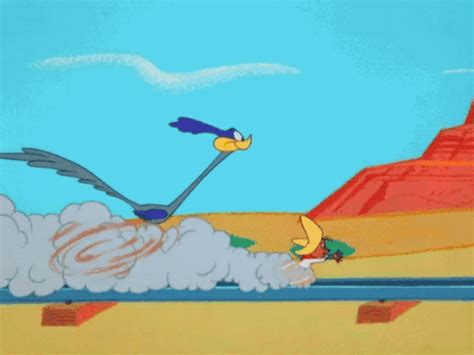 ¡el Correcaminos De Los Looney Tunes Ha Vuelto Y Persigue A Unos