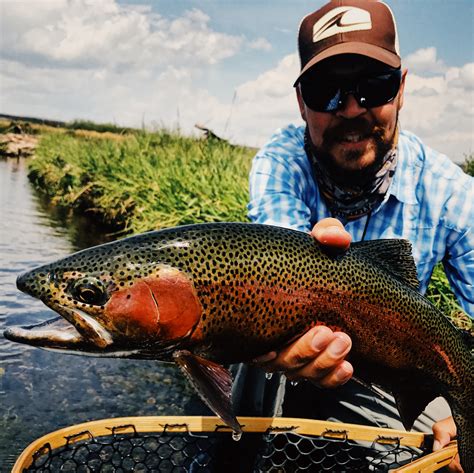 Fly Fishing Guides In Park City Utah Park City Fly Fishing Guides