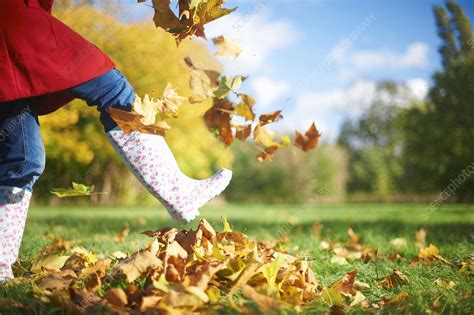 woman kicking autumn leaves stock image f010 3470 science photo library