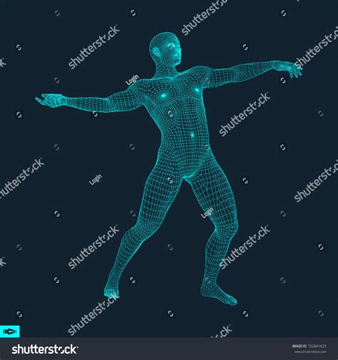 Vektor Stok D Model Man Human Body Wire Tanpa Royalti