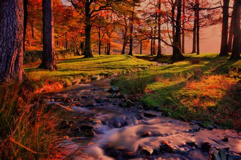 River In Autumn Park Hd Wallpaper Background Image 3000x2000