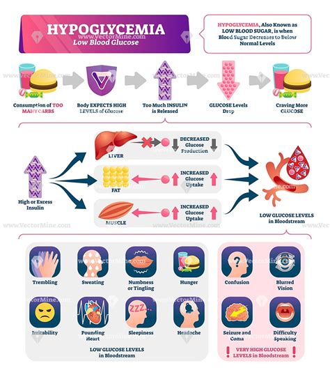 Hypoglycemia Without Diabetes Causes Effective Health