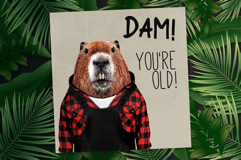 Beaver Birthday Card Dam Youre Old Animalyser Etsy