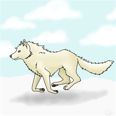 Artic Wolf By Lnsanefish On Deviantart