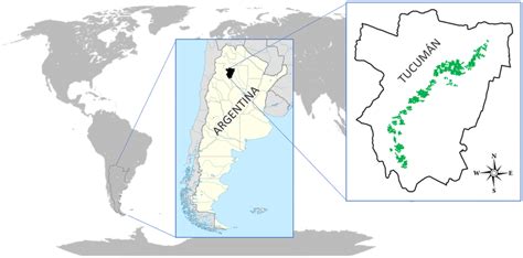 Location Of Tucumán Within Argentina Coordinates 2694° S 6534° W