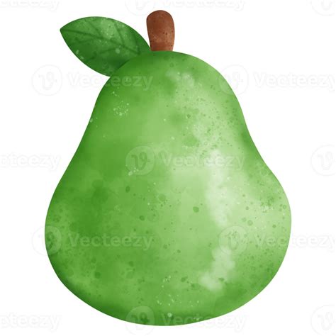 Pear Fruit Watercolor Illustration 24043699 Png