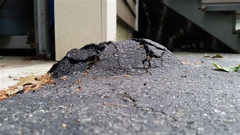 Has anyone done his before? Mound Appeared in Driveway - DoItYourself.com Community Forums