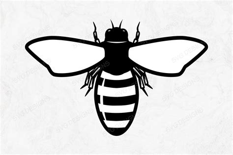 Bee Graphic By Infinitedesigns · Creative Fabrica
