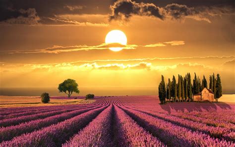 Tuscany Wonderful Sunset Over Lavender Fields Italy Hd Desktop