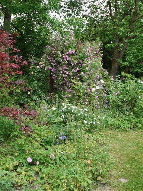 Ein leipziger stadtführer von 1860 bemerkt dazu: Garten - Richter Hassenpflug