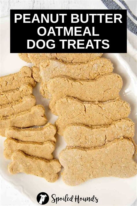 Peanut Butter Oatmeal Dog Treats Artofit