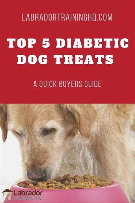 Best Treats For Diabetic Dogs