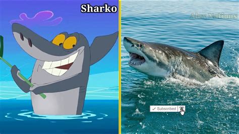 Zig And Sharko In Real Life All Characters Youtube