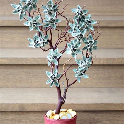 The graduate just can't wait to receive bills in this stunning money pad. How to Make a Money Tree | eHow.com | Christmas money, Money flowers, Money bouquet