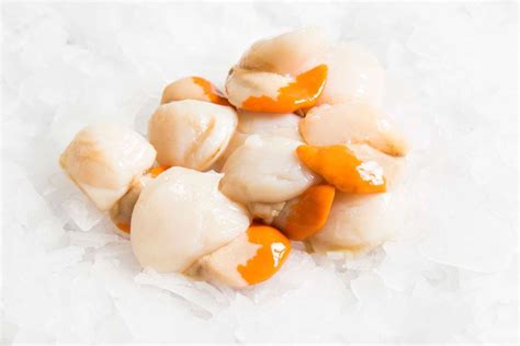 Scallop Meat Shellfish Delivery Sydney Manettas Seafood