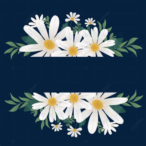 Hand Drawn Flowers With Blank Banner Hand Drawn Flower Daisies Png