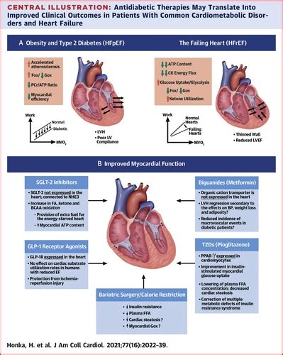 Therapeutic Manipulation Of Myocardial Metabolism Jacc State Of The