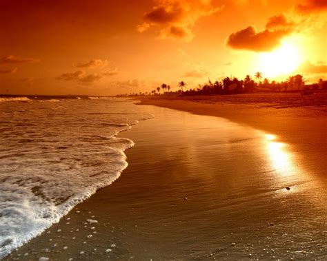 Sunrise Palms Sea Beautiful Nature Landscape Water Sky Clouds Scene