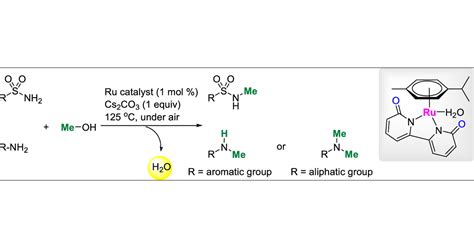 N Methylation Of Amines With Methanol In The Presence Of Carbonate Salt