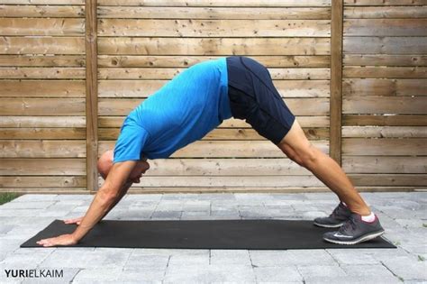 7 Yoga Beginner Poses That Will Improve Your Flexibility Yuri Elkaim