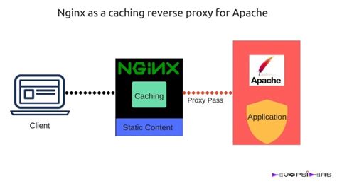 Nginx As A Caching Reverse Proxy For Apache Devopsideas