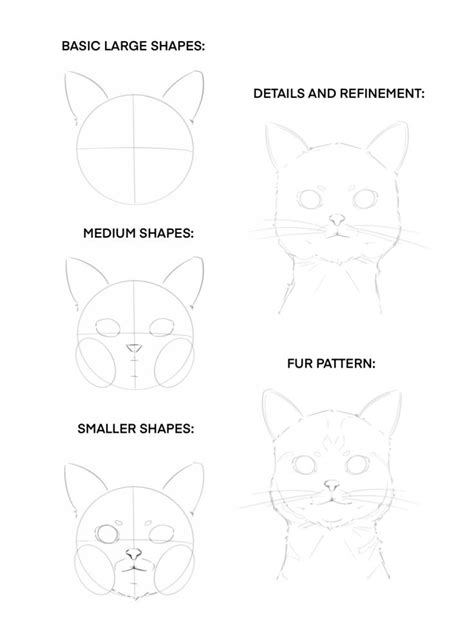 Easy Drawing Guide How To Draw A Cat Face Xppen