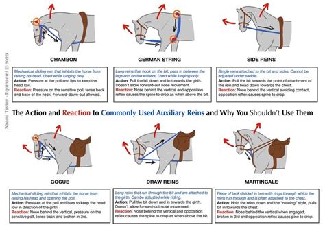 The Action And Reaction To Commonly Used Auxiliary Reins And Why You