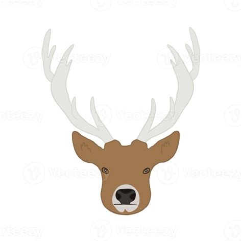 Cute Stag Face 15736376 Png