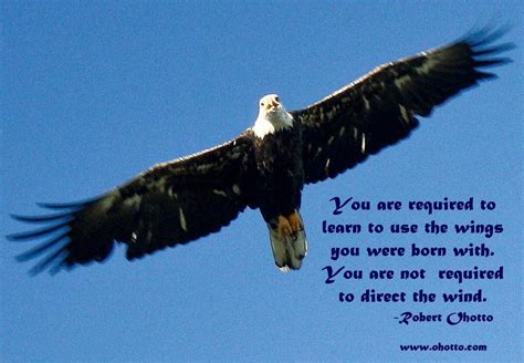 Inspirational Quotes Words Bald Eagle