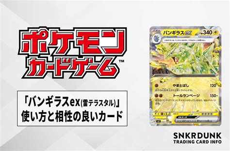 【ポケカ】「バンギラスex雷テラスタル」の使い方と相性のいいカード・デッキ スニーカーダンク