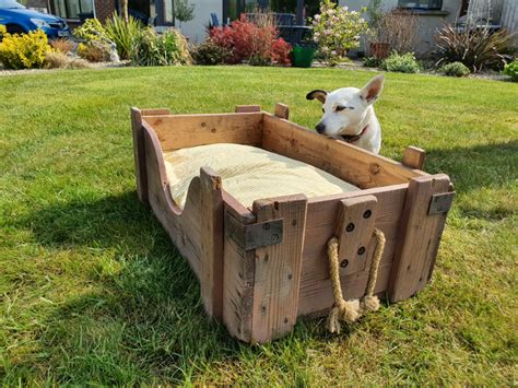 Dog Box In Lisburn County Antrim Gumtree