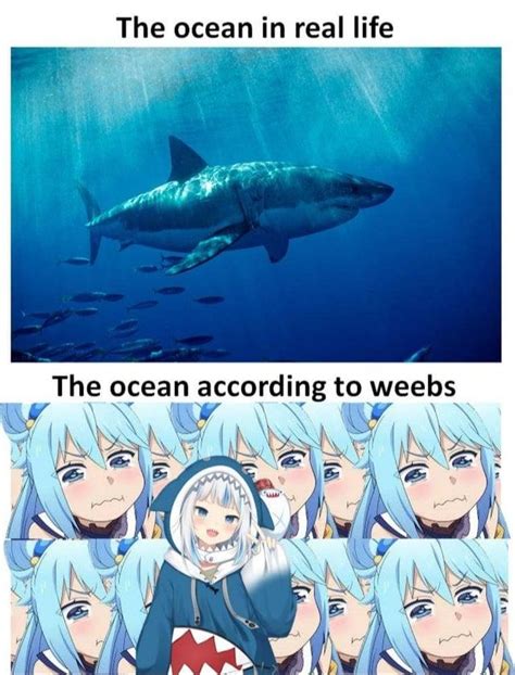 The Ocean Irl Vs The Ocean According To Weebs Gawr Gura Know Your Meme