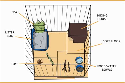 A Step By Step Guide To Quickly Set Up A Rabbit Cage