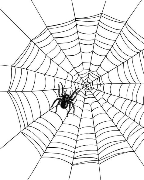 Spider Web Coloring Pages To Print Spider Coloring Page Coloring