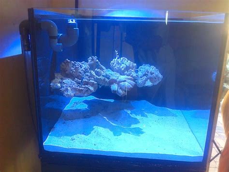 Whether the aquascape is nature, dutch or biotope, your nano aquarium is not complete without including miniature fishes. Floating aquascape in 60cm cube nano tank. | Akwarium ...