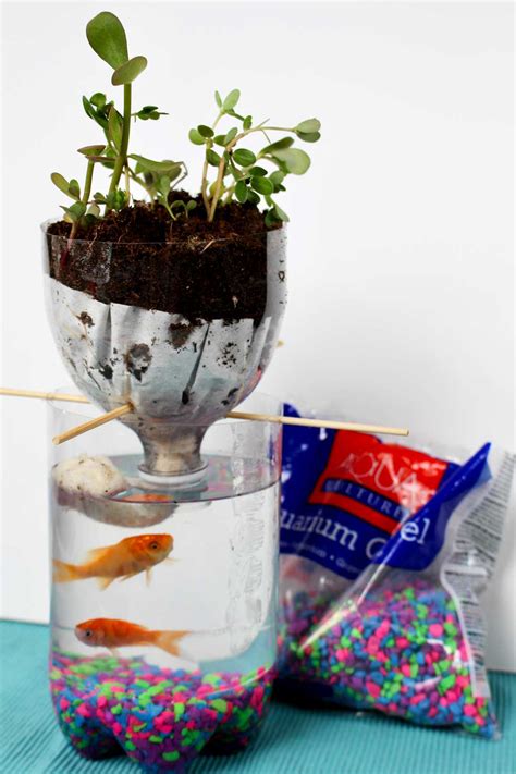 Diy 2 Liter Bottle Ecosystem Project Welcome To Nanas
