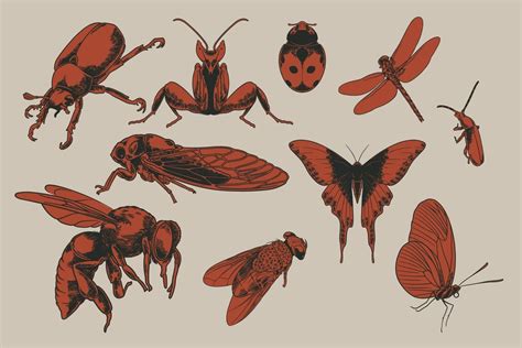 Big Set Of Flying Insects 3126208 Vector Art At Vecteezy