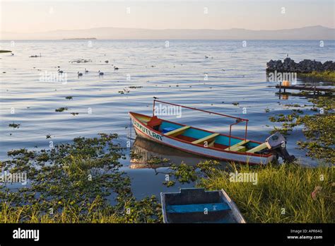 Fishing Boats On Lake Chapala In Chapala Mexico Stock Photo Alamy