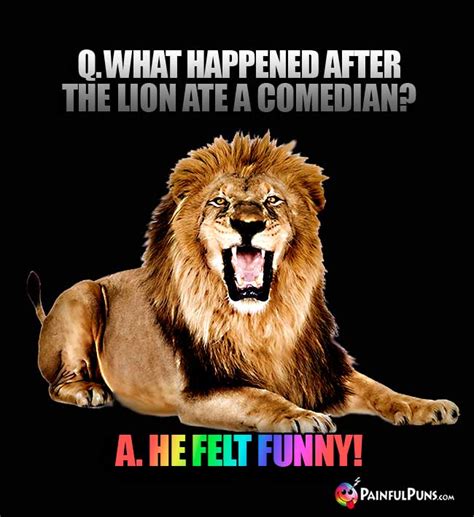 Lion Jokes Cougar Puns Lioness Lols 2