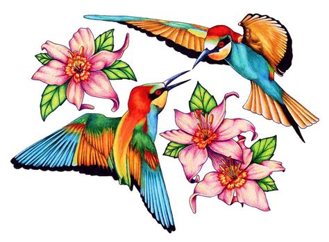 Hummingbird Drawings Clipart Best