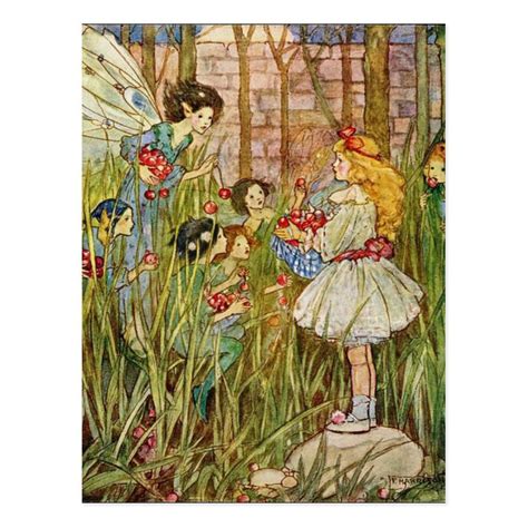 Vintage Little Girl Meets Fairies Postcard In 2021